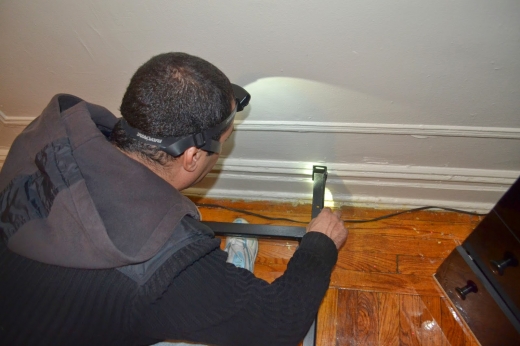 Photo by <br />
<b>Notice</b>:  Undefined index: user in <b>/home/www/activeuser/data/www/vaplace.com/core/views/default/photos.php</b> on line <b>128</b><br />
. Picture for Bed Bug Exterminator Harlem in New York City, New York, United States - Point of interest, Establishment, Store, Home goods store