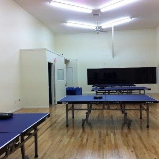 Photo by Math Music, Table Tennis Academy for Math Music, Table Tennis Academy