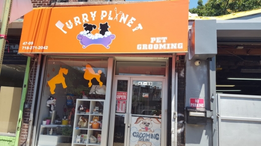 Photo by Elizabeth Moron for Furry Planet Pet Grooming