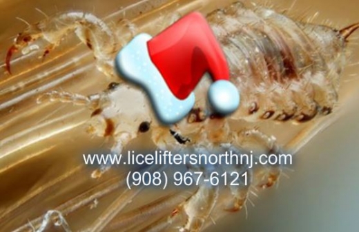 Lice Lifters of North NJ in Cranford City, New Jersey, United States - #2 Photo of Point of interest, Establishment, Hair care