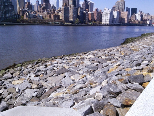 Roosevelt Island in New York City, New York, United States - #3 Photo of Point of interest, Establishment, Park