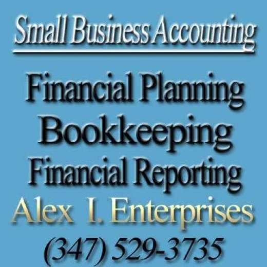 Alex I Enterprises, LLC in Brooklyn City, New York, United States - #1 Photo of Point of interest, Establishment, Finance, Accounting
