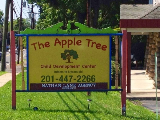 Apple Tree Child Development Center Preschool in Wyckoff City, New Jersey, United States - #4 Photo of Point of interest, Establishment, School