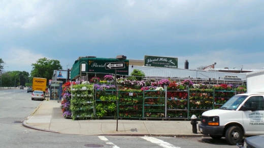 Florist Hills & Garden Center in Flushing City, New York, United States - #1 Photo of Food, Point of interest, Establishment, Store, Florist