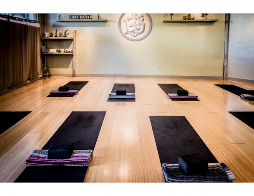 Long Island Yoga School in Great Neck City, New York, United States - #2 Photo of Point of interest, Establishment, Health, Gym