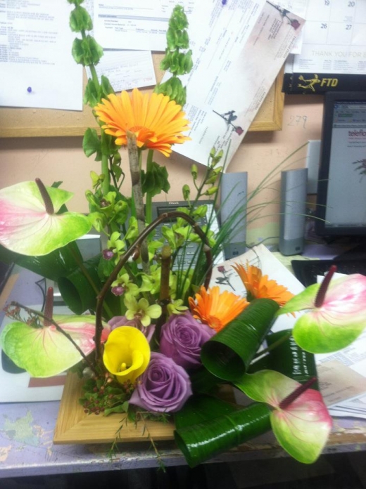 Photo by <br />
<b>Notice</b>:  Undefined index: user in <b>/home/www/activeuser/data/www/vaplace.com/core/views/default/photos.php</b> on line <b>128</b><br />
. Picture for Alborada Florist in New Rochelle City, New York, United States - Point of interest, Establishment, Store, Florist