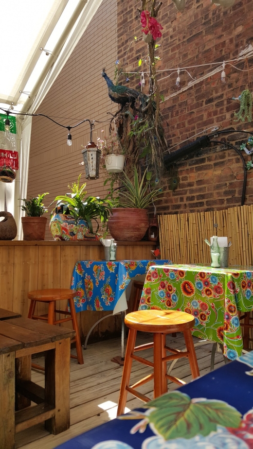Mexicozina Taqueria in Bronx City, New York, United States - #1 Photo of Restaurant, Food, Point of interest, Establishment