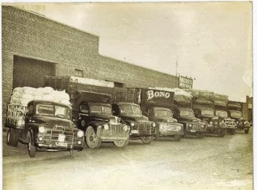 Bono Sawdust Co in Flushing City, New York, United States - #2 Photo of Point of interest, Establishment, Store