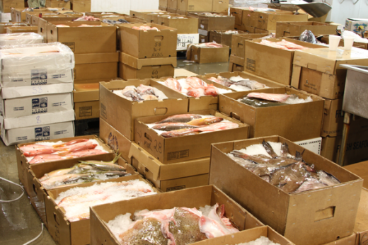 Astoria Fish Depot in Bronx City, New York, United States - #2 Photo of Food, Point of interest, Establishment