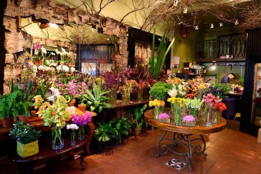 Katrina Parris Flowers in New York City, New York, United States - #1 Photo of Point of interest, Establishment, Store, Florist