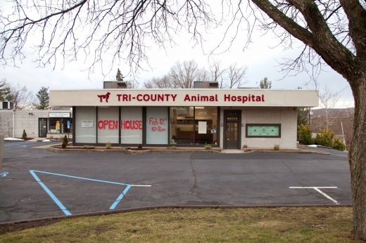 Tri-County Animal Hospital in Wayne City, New Jersey, United States - #1 Photo of Point of interest, Establishment, Veterinary care
