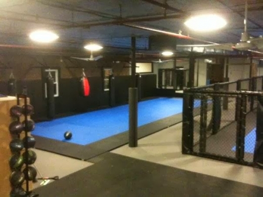 Westchester Mixed Martial Arts in New Rochelle City, New York, United States - #1 Photo of Point of interest, Establishment, Health, Gym