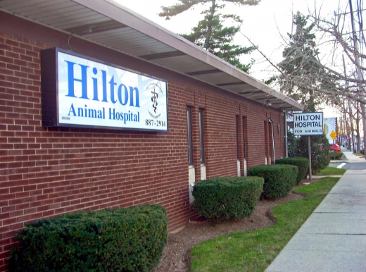 Hilton Hospital for Animals in Lynbrook City, New York, United States - #2 Photo of Point of interest, Establishment, Veterinary care
