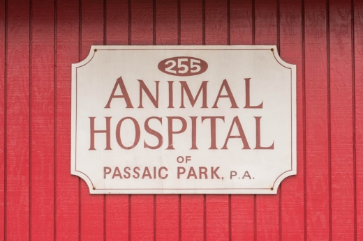 Animal Hospital Of Passaic Park in Passaic City, New Jersey, United States - #4 Photo of Point of interest, Establishment, Veterinary care