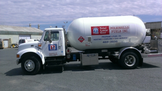Polsinello Fuels in Westbury City, New York, United States - #2 Photo of Point of interest, Establishment