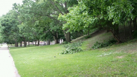 Claremont Park in Bronx City, New York, United States - #1 Photo of Point of interest, Establishment, Park