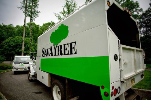 SavATree/ SavaLawn - Tree and Lawn Care Services in Glen Head City, New York, United States - #3 Photo of Point of interest, Establishment