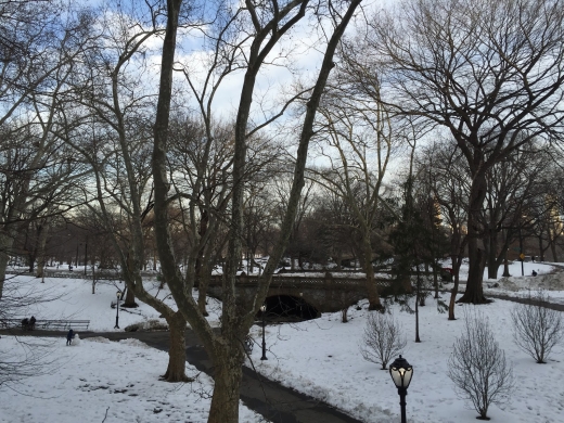 Greyshot Arch in 5 City, New York, United States - #2 Photo of Point of interest, Establishment, Park