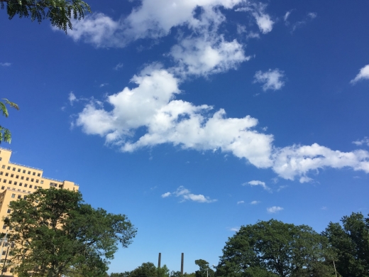 Alley Athletic Playground in Hollis City, New York, United States - #4 Photo of Point of interest, Establishment, Park