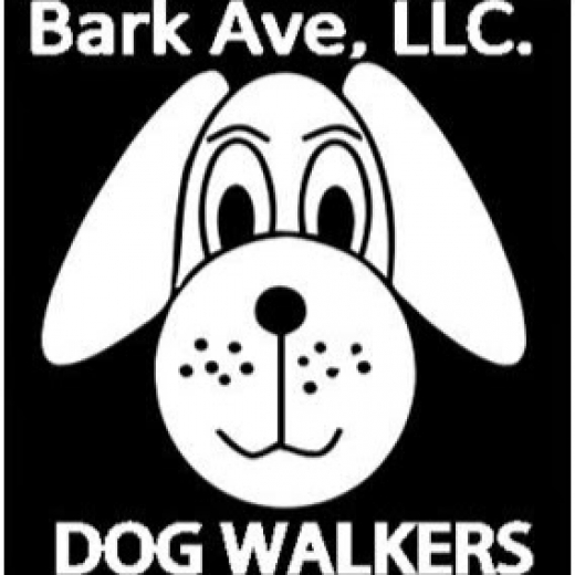 Bark Ave Dog Walkers, LLC in New York City, New York, United States - #1 Photo of Point of interest, Establishment