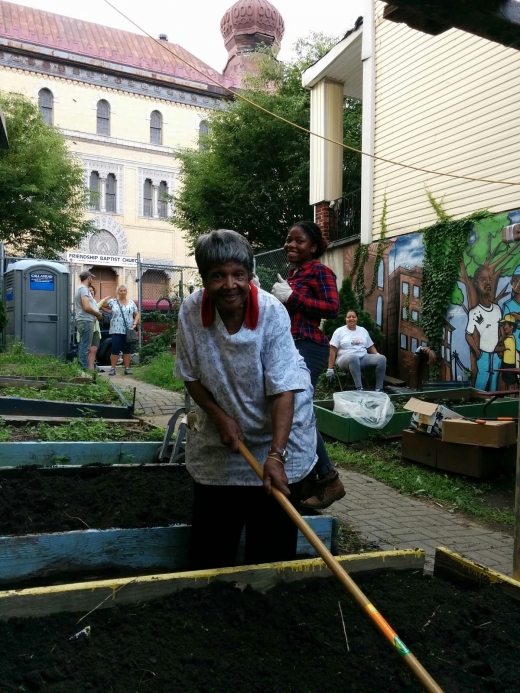 United Herkimer Garden Club (community garden) in Kings County City, New York, United States - #2 Photo of Point of interest, Establishment, Park