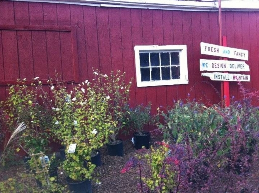 Fresh & Fancy Farms in New Milford City, New Jersey, United States - #4 Photo of Food, Point of interest, Establishment, Store, General contractor