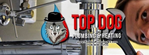 Top Dog Plumbing and Heating NYC in Queens City, New York, United States - #4 Photo of Point of interest, Establishment, Plumber