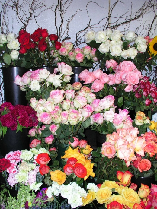 Photo by <br />
<b>Notice</b>:  Undefined index: user in <b>/home/www/activeuser/data/www/vaplace.com/core/views/default/photos.php</b> on line <b>128</b><br />
. Picture for The Woodmere Florist Ltd. in Woodmere City, New York, United States - Food, Point of interest, Establishment, Store, Home goods store, Florist