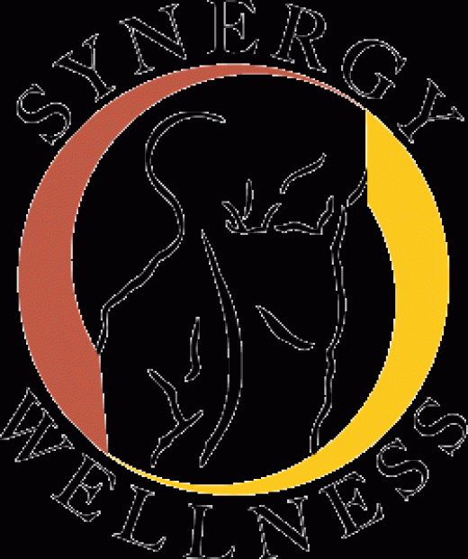 Photo by <br />
<b>Notice</b>:  Undefined index: user in <b>/home/www/activeuser/data/www/vaplace.com/core/views/default/photos.php</b> on line <b>128</b><br />
. Picture for Synergy Wellness Chiropractic & Physical Therapy PLLC in New York City, New York, United States - Point of interest, Establishment, Health