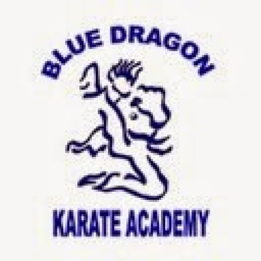 Photo by Blue Dragon Karate Academy for Blue Dragon Karate Academy