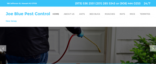 JoeBlue Pest Control New Jersey NJ Exterminators in Newark City, New Jersey, United States - #1 Photo of Point of interest, Establishment, Store, Home goods store