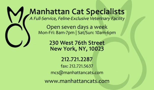 Photo by <br />
<b>Notice</b>:  Undefined index: user in <b>/home/www/activeuser/data/www/vaplace.com/core/views/default/photos.php</b> on line <b>128</b><br />
. Picture for Manhattan Cat Specialists in New York City, New York, United States - Point of interest, Establishment, Veterinary care