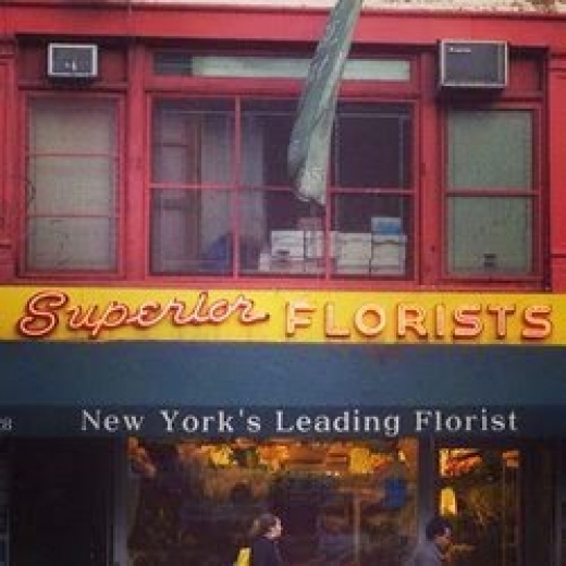 Superior Florist Ltd. in New York City, New York, United States - #1 Photo of Point of interest, Establishment, Store, Florist