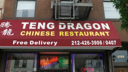 Teng Dragon in New York City, New York, United States - #2 Photo of Restaurant, Food, Point of interest, Establishment