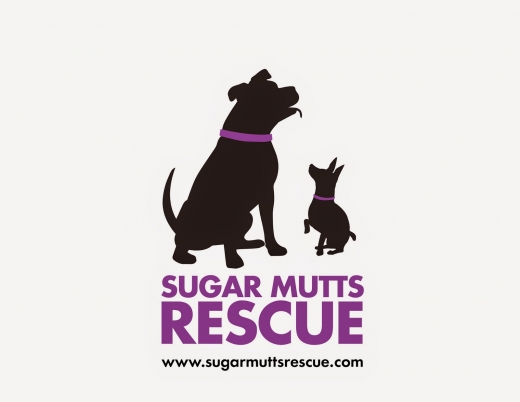 Sugar Mutts Rescue Dog Daycare / Boarding in Brooklyn City, New York, United States - #4 Photo of Point of interest, Establishment, Store