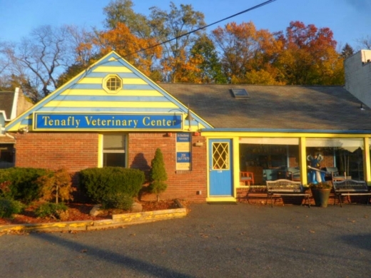 Tenafly Veterinary Center in Tenafly City, New Jersey, United States - #1 Photo of Point of interest, Establishment, Health, Veterinary care