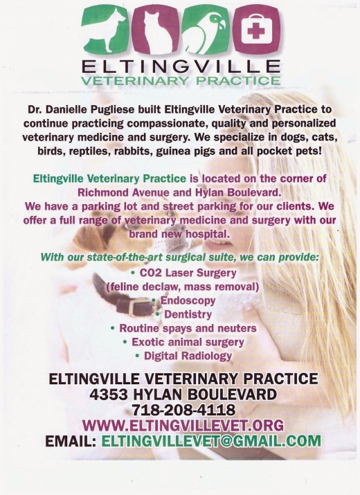 Eltingville Veterinary Practice in Staten Island City, New York, United States - #3 Photo of Point of interest, Establishment, Health, Veterinary care