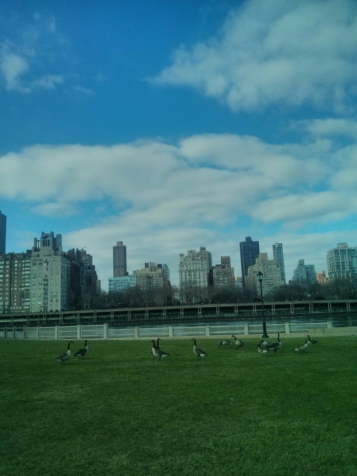 Lighthouse Park in New York City, New York, United States - #4 Photo of Point of interest, Establishment, Park