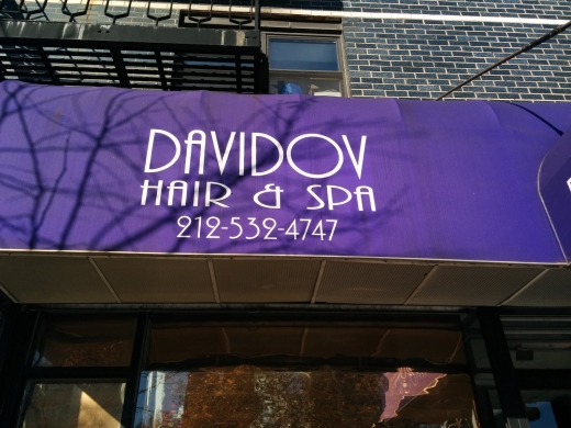 Davidov Hair & Spa in New York City, New York, United States - #2 Photo of Point of interest, Establishment, Beauty salon
