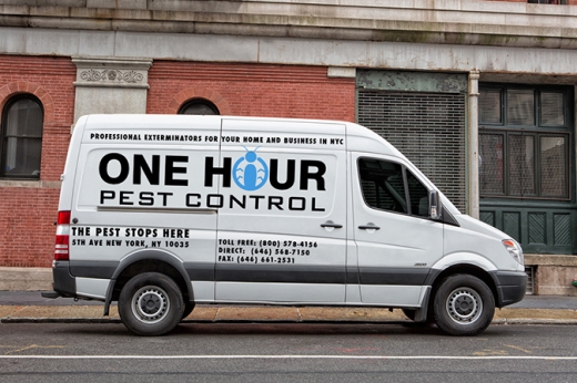 One Hour Pest Control in Kings County City, New York, United States - #4 Photo of Point of interest, Establishment, Store, Home goods store