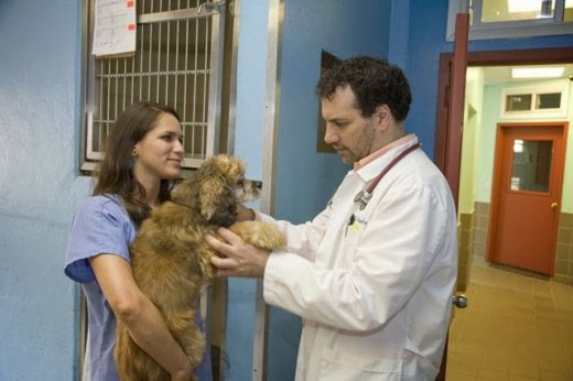 Mamaroneck Veterinary Hospital & Pet Resort in Mamaroneck City, New York, United States - #4 Photo of Point of interest, Establishment, Veterinary care