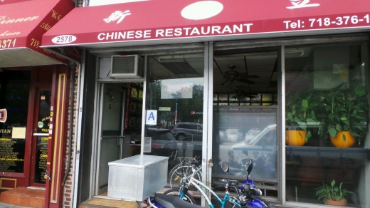 Photo by <br />
<b>Notice</b>:  Undefined index: user in <b>/home/www/activeuser/data/www/vaplace.com/core/views/default/photos.php</b> on line <b>128</b><br />
. Picture for New Times Chinese Restaurant in Brooklyn City, New York, United States - Restaurant, Food, Point of interest, Establishment