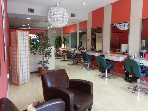 Castillo Hair Salon in Teaneck City, New Jersey, United States - #1 Photo of Point of interest, Establishment, Store, Beauty salon, Hair care