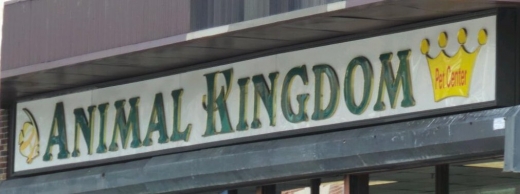 Animal Kingdom in Staten Island City, New York, United States - #2 Photo of Point of interest, Establishment, Store, Pet store