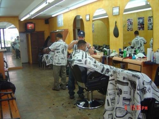 Kelvins Barbershop Inc in Bronx City, New York, United States - #1 Photo of Point of interest, Establishment, Health, Hair care
