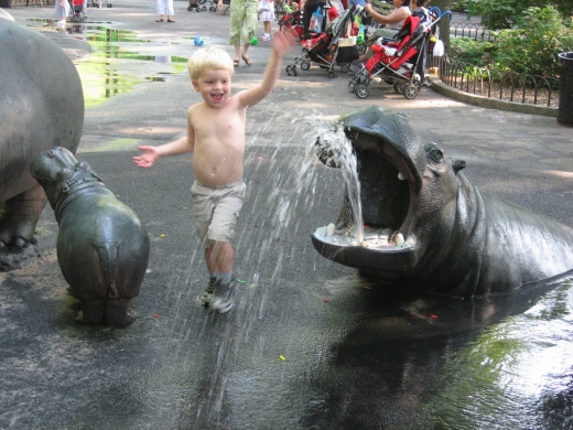 Hippo Playground in New York City, New York, United States - #3 Photo of Point of interest, Establishment, Park