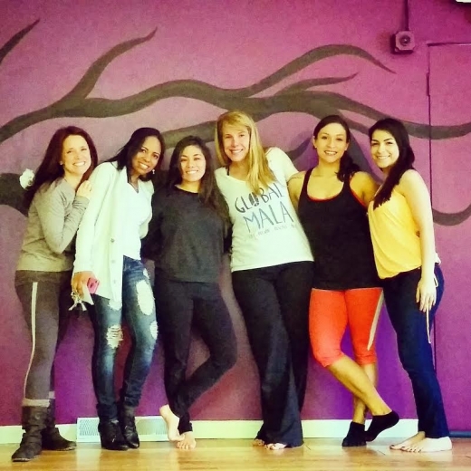House Yoga in Kenilworth City, New Jersey, United States - #1 Photo of Point of interest, Establishment, Health, Gym