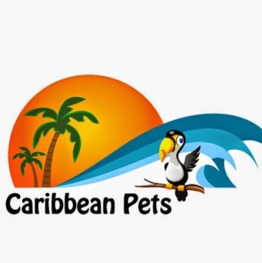 Photo by <br />
<b>Notice</b>:  Undefined index: user in <b>/home/www/activeuser/data/www/vaplace.com/core/views/default/photos.php</b> on line <b>128</b><br />
. Picture for Caribbean Pets in Jersey City, New Jersey, United States - Point of interest, Establishment, Store, Pet store