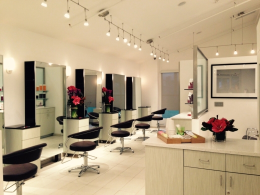 Paul Labrecque Salon & Spa in New York City, New York, United States - #2 Photo of Point of interest, Establishment, Health, Spa, Beauty salon, Hair care