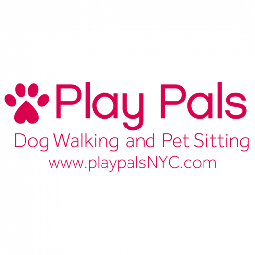 Play Pals NYC in Brooklyn,New York City, New York, United States - #4 Photo of Point of interest, Establishment